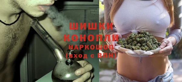 PSILOCYBIN Белоозёрский