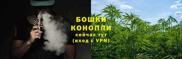 PSILOCYBIN Белоозёрский