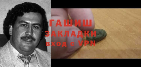 PSILOCYBIN Белокуриха