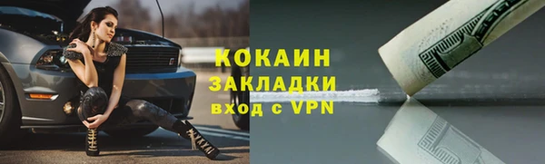 PSILOCYBIN Белокуриха