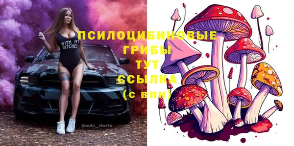 PSILOCYBIN Белоозёрский