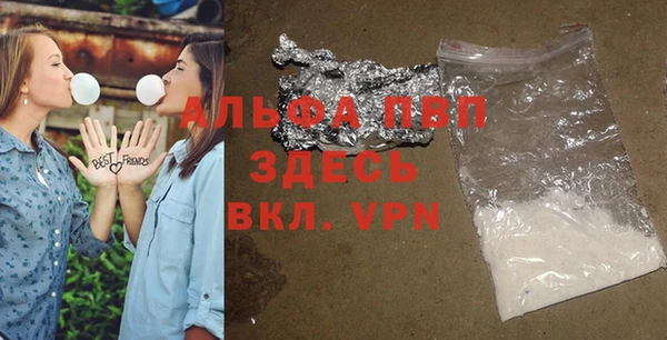PSILOCYBIN Белокуриха