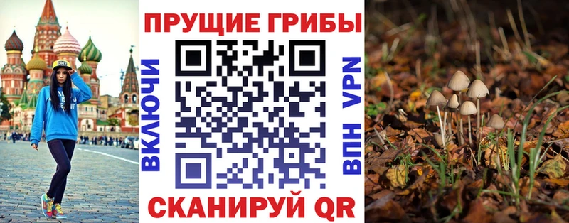 Галлюциногенные грибы GOLDEN TEACHER  Волосово 